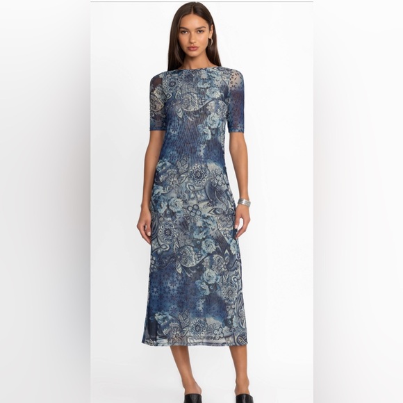 Johnny Was Jade The Mesh Midi Dress with Bateau Neckline Size S

Color: Isobel - Picture 6 of 7